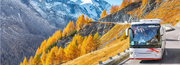 Imagen circuitos damas